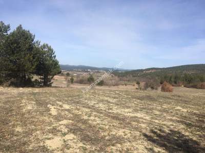 Bursa Harmancık Kepeklidere Mh Satılık 9200 M² Tarla 9