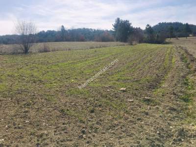 Bursa Harmancık Kepeklidere Mh Satılık 9200 M² Tarla 2