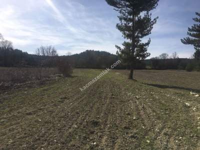 Bursa Harmancık Kepeklidere Mh Satılık 9200 M² Tarla 4