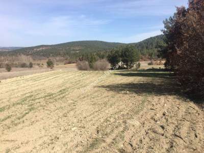 Bursa Harmancık Kepeklidere Mh Satılık 9200 M² Tarla 3