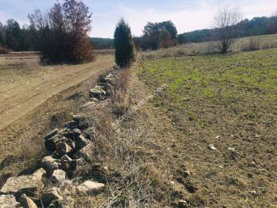 Bursa Harmancık Kepeklidere Mh Satılık 9200 M² Tarla 10