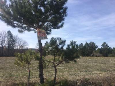 Bursa Harmancık Kepeklidere Mh Satılık 9200 M² Tarla 1