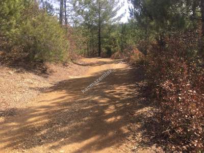 Bursa Harmancık Kepedere Mh Satılık 1937 M² Tarla 7