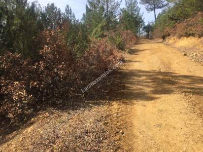 Bursa Harmancık Kepedere Mh Satılık 1937 M² Tarla 2