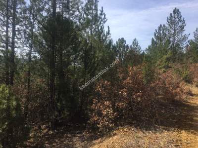 Bursa Harmancık Kepedere Mh Satılık 1937 M² Tarla 3