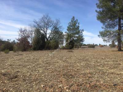 Bursa Harmancık Kepekdere Satılık 2.480 M² Tarla 7