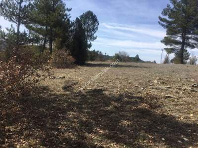 Bursa Harmancık Kepekdere Satılık 2.480 M² Tarla 4