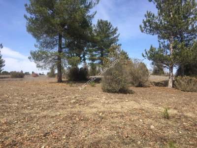 Bursa Harmancık Kepekdere Satılık 2.480 M² Tarla 2