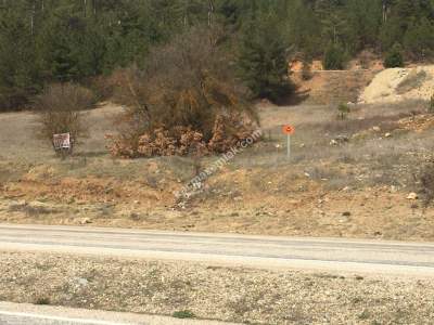 Bursa Harmancık Kepekdere Satılık 2.480 M² Tarla 6