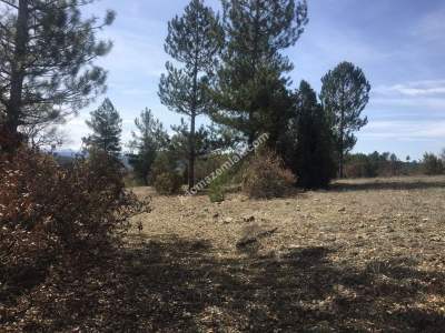 Bursa Harmancık Kepekdere Satılık 2.480 M² Tarla 3