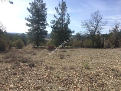 Bursa Harmancık Kepekdere Satılık 2.480 M² Tarla 5