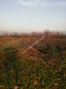 Bursa İnegöl Kurşunluda Satılık Tarla 5