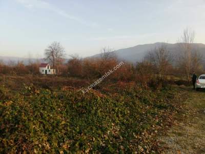 Bursa İnegöl Kurşunluda Satılık Tarla 4