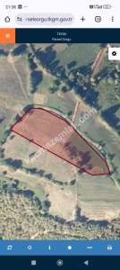 Kaçmaz Emlak'tan İnegöl Sultaniye Köyünde Satılık Tarl 2