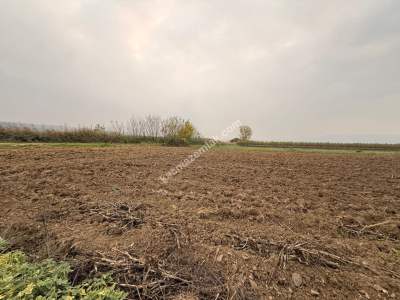 İnegöl Sungurpaşa Köy Satılık Köşe Konum Tarla Arazi 15
