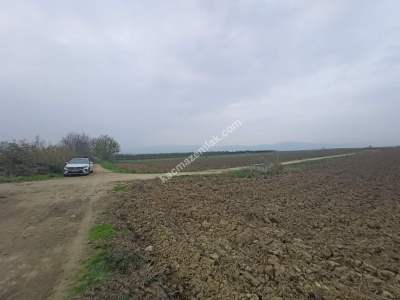 İnegöl Sungurpaşa Köy Satılık Köşe Konum Tarla Arazi 5