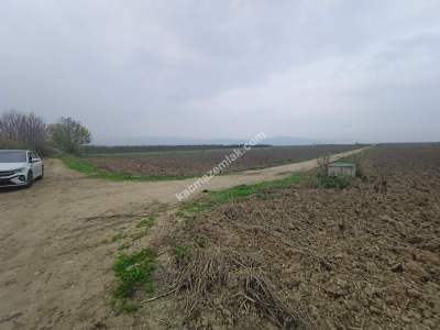 İnegöl Sungurpaşa Köy Satılık Köşe Konum Tarla Arazi 6