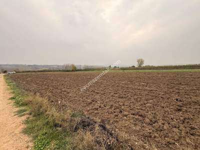 İnegöl Sungurpaşa Köy Satılık Köşe Konum Tarla Arazi 9