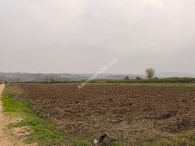 İnegöl Sungurpaşa Köy Satılık Köşe Konum Tarla Arazi 7