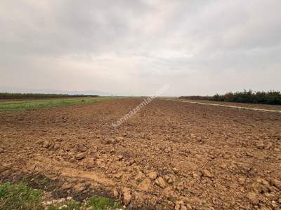 İnegöl Sungurpaşa Köy Satılık Köşe Konum Tarla Arazi 10