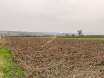 İnegöl Sungurpaşa Köy Satılık Köşe Konum Tarla Arazi 12