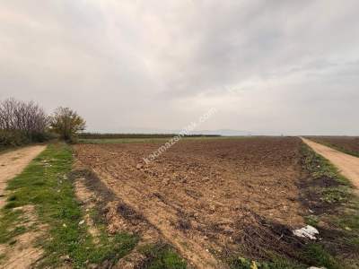 İnegöl Sungurpaşa Köy Satılık Köşe Konum Tarla Arazi 4
