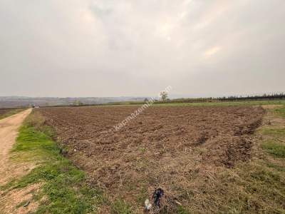 İnegöl Sungurpaşa Köy Satılık Köşe Konum Tarla Arazi 8