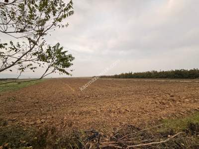 İnegöl Sungurpaşa Köy Satılık Köşe Konum Tarla Arazi 17