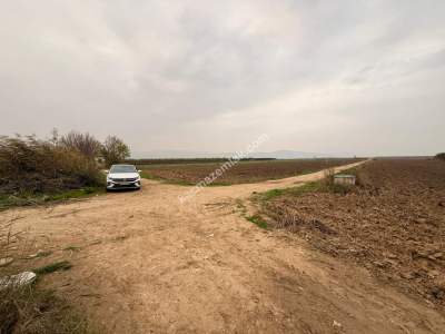 İnegöl Sungurpaşa Köy Satılık Köşe Konum Tarla Arazi 13