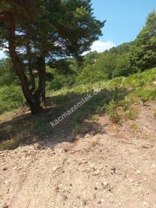 İznik Sansarak Köyünde Satılık 3085 M2 Yatırımlık Tarla 1