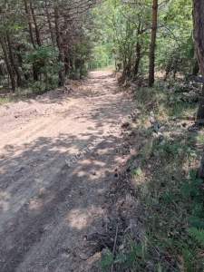 İznik Sansarak Köyünde Satılık 3085 M2 Yatırımlık Tarla 2