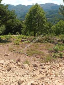 İznik Sansarak Köyünde Satılık 3085 M2 Yatırımlık Tarla 4