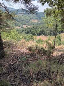 İznik Sansarak Köyünde Satılık 3085 M2 Yatırımlık Tarla 11