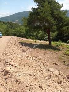 İznik Sansarak Köyünde Satılık 3085 M2 Yatırımlık Tarla 10