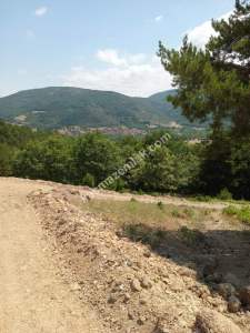 İznik Sansarak Köyünde Satılık 3085 M2 Yatırımlık Tarla 3