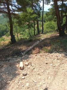 İznik Sansarak Köyünde Satılık 3085 M2 Yatırımlık Tarla 16