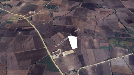 Bursa Karacabey Harmanlı Köyünde 11700M2 Satılık Tarla 3