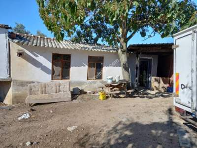 Karacabey Kıranlar Köy Satılık Tarla Arazi Çiftlik 13