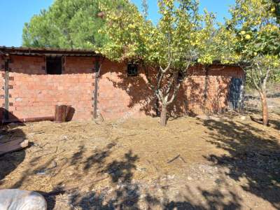 Karacabey Kıranlar Köy Satılık Tarla Arazi Çiftlik 2