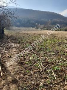 Bursa Karacabey Ovaesemen Satılık Tarla 1