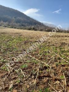 Bursa Karacabey Ovaesemen Satılık Tarla 2