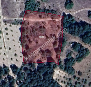 Bursa Keles Belenören Köyünde Satılık Tarla 2