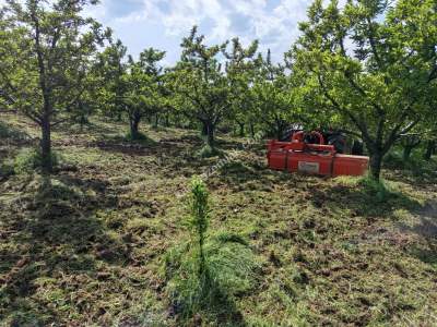 Kaçmaz Emlaktan (Kestel) Satılık Tarla Babasultan Köyü 6