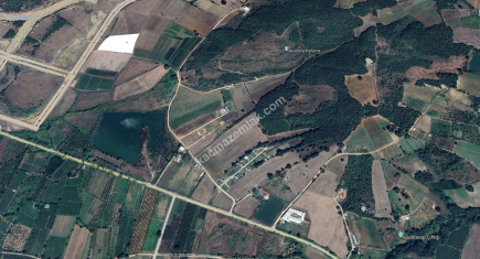 Bursa Kestel Çataltepe Sanayi Sınırında 2683 M2 Satılık 7