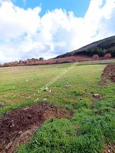 Bursa Erdoğan Köy 1965 M2 Satılık Tarla Süper Konumda 11