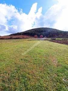 Bursa Erdoğan Köy 1965 M2 Satılık Tarla Süper Konumda 12