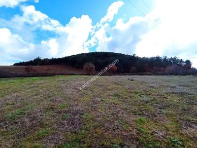 Bursa Erdoğan Köy 1965 M2 Satılık Tarla Süper Konumda 24