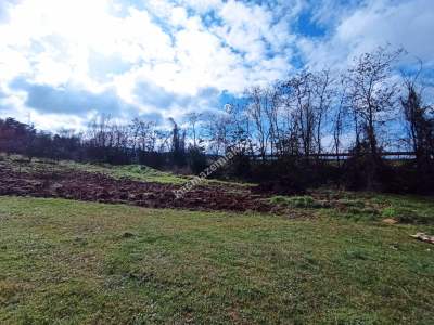 Bursa Erdoğan Köy 1965 M2 Satılık Tarla Süper Konumda 16