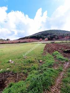 Bursa Erdoğan Köy 1965 M2 Satılık Tarla Süper Konumda 10