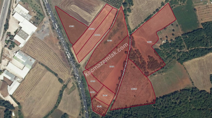 Bursa Erdoğan Köy 1965 M2 Satılık Tarla Süper Konumda 6